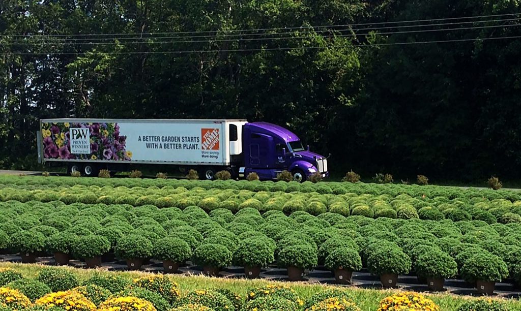 Bell Nursery Holdings Lindsay Goldberg